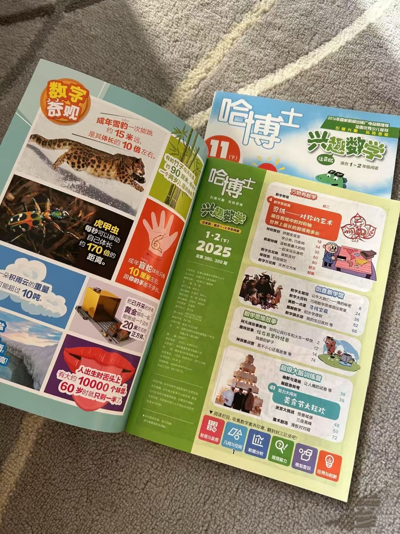 哈博士兴趣数学